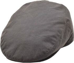 Cepure цена и информация | Мужские шарфы, шапки, перчатки | 220.lv