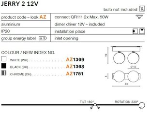 Azzardo gaismeklis Jerry 2 12V AZ1368 цена и информация | Потолочные светильники | 220.lv