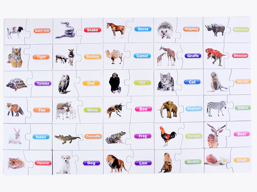 Dzīvnieku identifikācijas spēle-puzle (angļu valodā) 30 d. cena un informācija | Puzles, 3D puzles | 220.lv