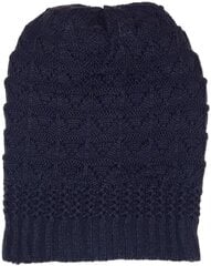 Шапки цена и информация | Мужские шарфы, шапки, перчатки | 220.lv