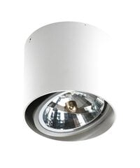 Azzardo светильник Alix AZ1356 цена и информация | Потолочный светильник | 220.lv