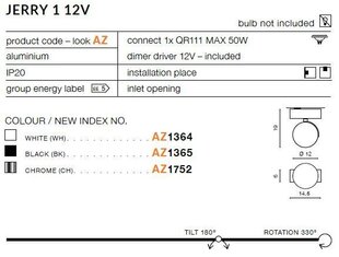 Azzardo griestu lampa Jerry 1 12 V AZ1364 cena un informācija | Griestu lampas | 220.lv