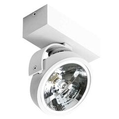 Azzardo griestu lampa Jerry 1 12 V AZ1364 цена и информация | Потолочные светильники | 220.lv