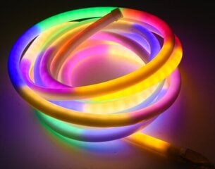LED Neonu lenta ar pulti 5m RGB cena un informācija | LED lentes | 220.lv