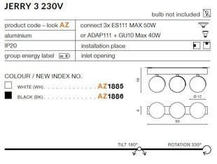 Azzardo потолочный светильник AZ1885 Jerry 3 цена и информация | Потолочные светильники | 220.lv