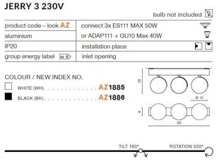 Azzardo потолочный светильник AZ1885 Jerry 3 цена и информация | Потолочный светильник | 220.lv