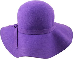 Женская фетровая шляпа Cloche цена и информация | Женские шапки | 220.lv