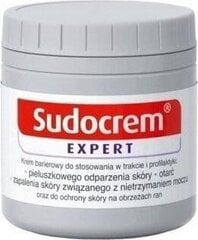 Krēms pret izsitumiem60 g, SUDOCREM EXPERT cena un informācija | Bērnu kosmētika, līdzekļi jaunajām māmiņām | 220.lv