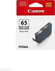 Картридж CANON CLI-65 GY EUR/OCN Ink цена и информация | Картриджи для струйных принтеров | 220.lv