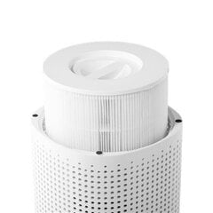 Очиститель воздуха Duux Smart DXPU07 цена и информация | Очистители воздуха | 220.lv