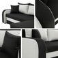 Dīvāns Dalmun-Mikrofaza 0014, melns/pelēks cena un informācija | Dīvāni | 220.lv