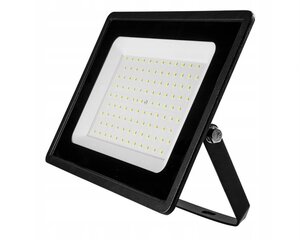 LED prožektors 100W NEO цена и информация | Уличное освещение | 220.lv
