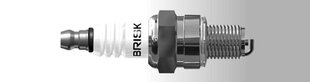 Свеча Brisk TR15C подходит Stihl Husqvarna цена и информация | Запчасти для садовой техники | 220.lv