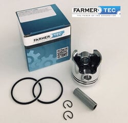 Поршневой комплект для триммера 32cc FARMERTEC цена и информация | Запчасти для садовой техники | 220.lv