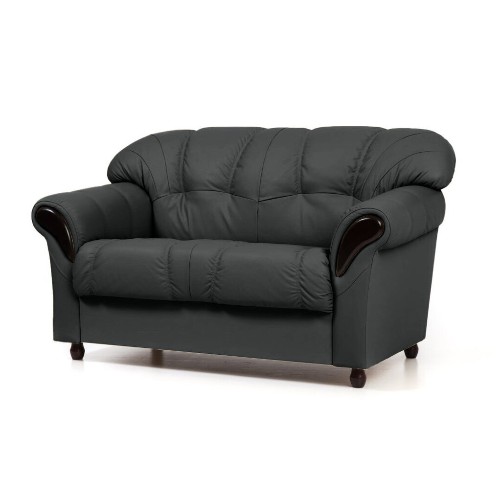 Dīvāns Rosa, 2 vietīgs, pārklāts ar audumu, Diivan Rosa, 2-kohaline, kaetud kangaga - must Inari 100, musta värvi jalad cena un informācija | Dīvāni | 220.lv