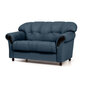 Dīvāns Rosa, 2 vietīgs, pārklāts ar audumu, Diivan Rosa, 2-kohaline, kaetud kangaga - Monolith 77, musta värvi jalad cena un informācija | Dīvāni | 220.lv