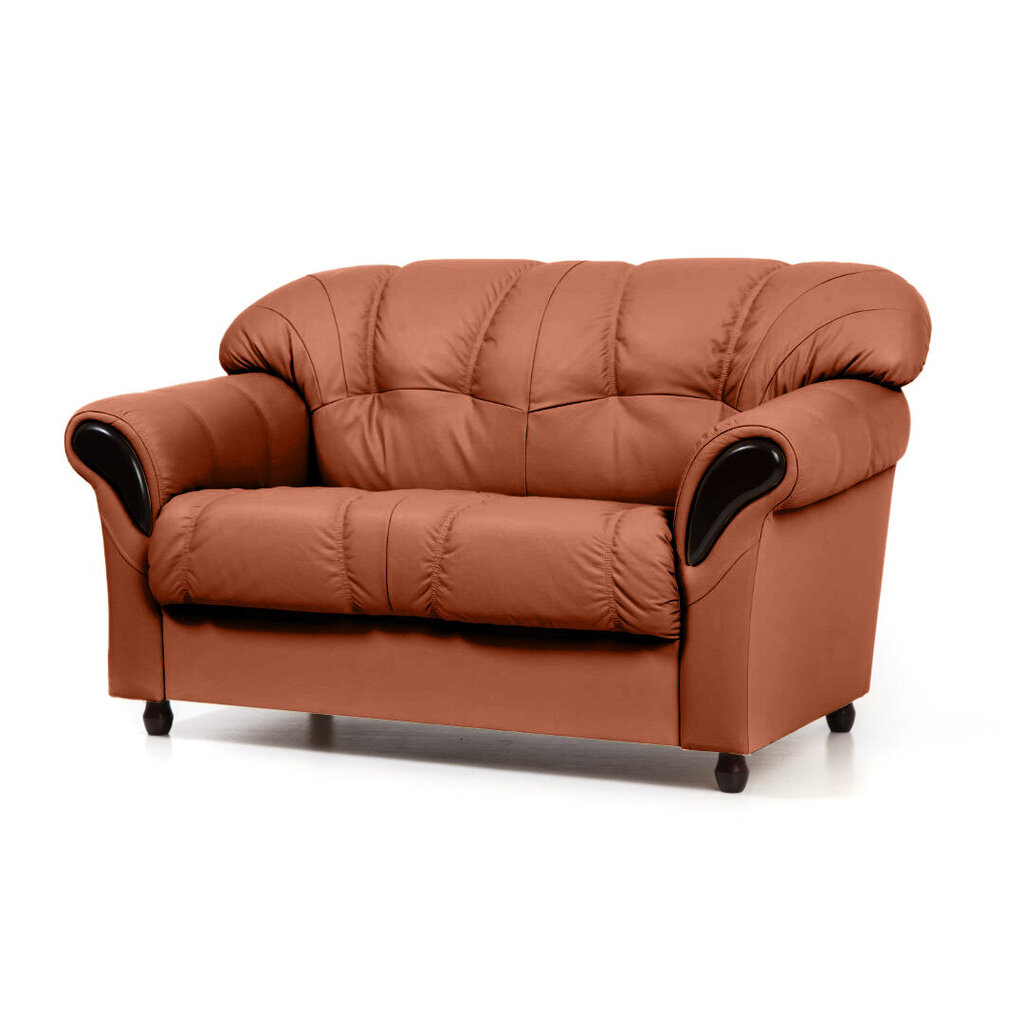 Dīvāns Rosa, 2 vietīgs, pārklāts ar audumu, Diivan Rosa, 2-kohaline, kaetud kangaga - Monolith 61, musta värvi jalad cena un informācija | Dīvāni | 220.lv