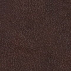 Dīvāngulta Rosa, 3 vietīga, pārklāta ar ādu, Diivanvoodi Rosa, 3-kohaline, kaetud nahaga - pruun 8040, musta värvi jalad цена и информация | Диваны | 220.lv