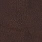 Dīvāngulta Rosa, 3 vietīga, pārklāta ar ādu, Diivanvoodi Rosa, 3-kohaline, kaetud nahaga - pruun 8040, musta värvi jalad cena un informācija | Dīvāni | 220.lv