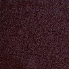 Atzveltnes krēsls Mann, pārklāts ar ādu, Tugitool Mann, kaetud nahaga - antiik punane 1589, musta värvi jalad cena un informācija | Atpūtas krēsli | 220.lv