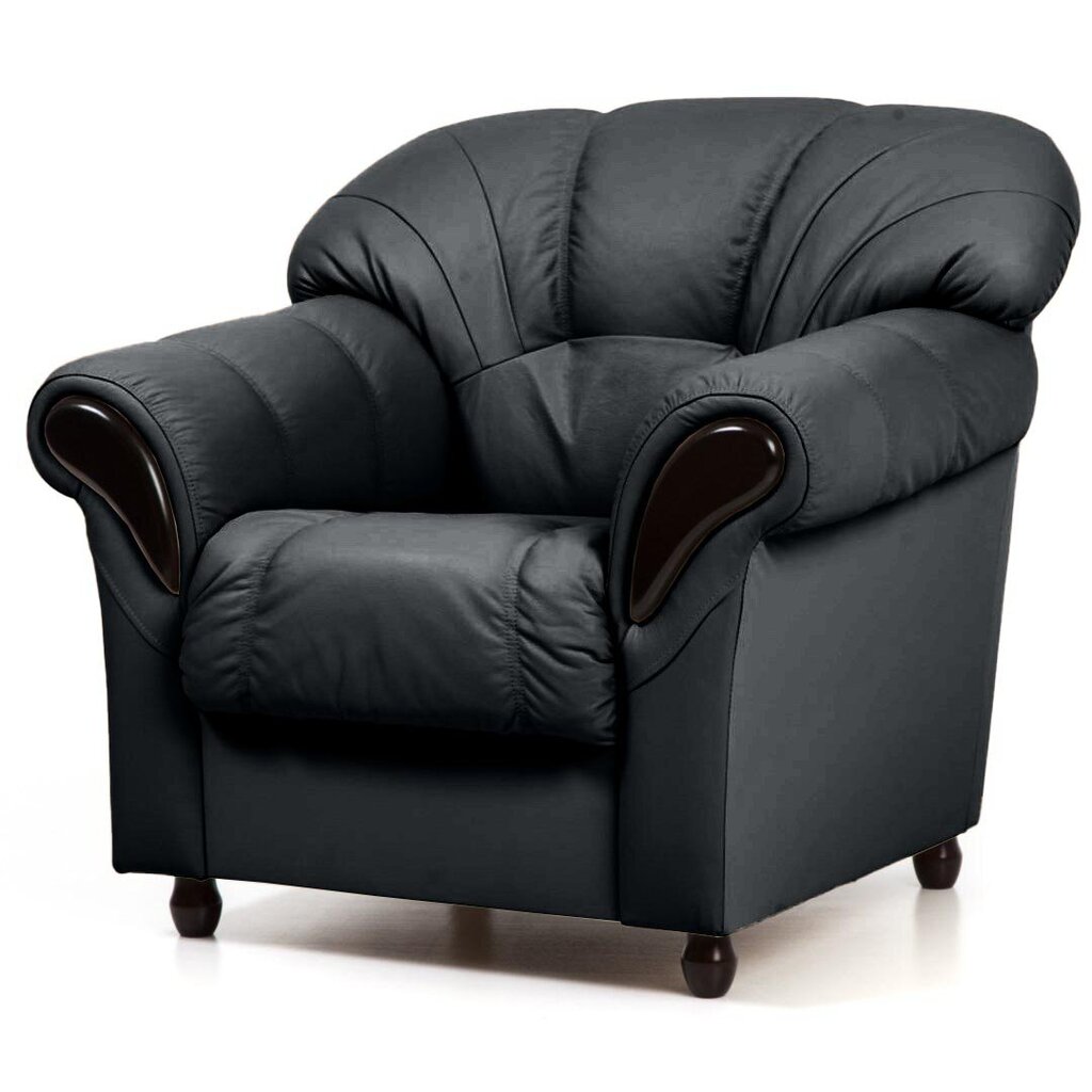 Atzveltnes krēsls Rosa, pārklāts ar ādu, Tugitool Rosa, kaetud nahaga, must 0100, musta värvi jalad cena un informācija | Atpūtas krēsli | 220.lv