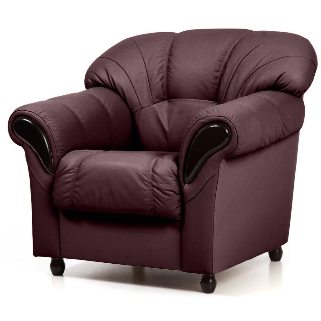 Atzveltnes krēsls Rosa, pārklāts ar ādu, Tugitool Rosa, kaetud nahaga, antiik-punane 1589, musta värvi jalad cena un informācija | Atpūtas krēsli | 220.lv
