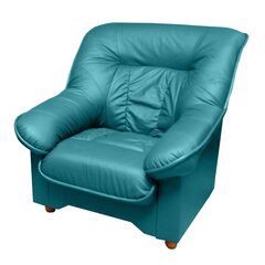Кресло Spencer K, синее цена и информация | Кресла в гостиную | 220.lv