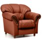 Atzveltnes krēsls Rosa, pārklāts ar audumu, Tugitool Rosa, kaetud kangaga - Monolith 61, jalad - pähkel cena un informācija | Atpūtas krēsli | 220.lv