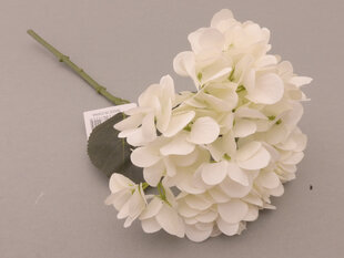 Hortenzija balta cena un informācija | Mākslīgie ziedi | 220.lv
