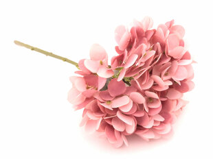 Hortenzija cena un informācija | Mākslīgie ziedi | 220.lv