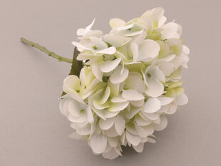 Hortenzija, piparmētras krāsas cena un informācija | Mākslīgie ziedi | 220.lv