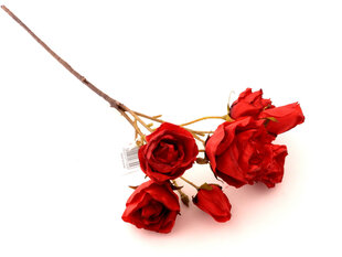 Apdedzis rozes zars cena un informācija | Mākslīgie ziedi | 220.lv