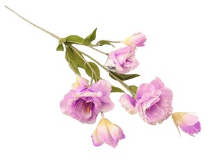 Eustomas zariņš violets cena un informācija | Mākslīgie ziedi | 220.lv