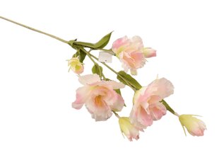 Eustomas zariņš rozā cena un informācija | Mākslīgie ziedi | 220.lv