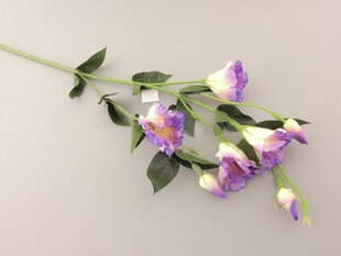 Eustoma cream purple cena un informācija | Mākslīgie ziedi | 220.lv