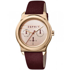 Sieviešu pulkstenis Esprit ES1L077L0035 cena un informācija | Sieviešu pulksteņi | 220.lv