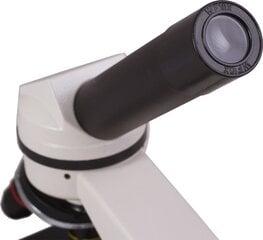 Levenhuk Rainbow cena un informācija | Teleskopi un mikroskopi | 220.lv