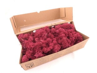 Стабилизированный мох 500 г. Темно-розовый цена и информация | Спящие стабилизированные розы, растения | 220.lv