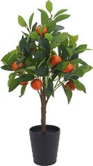Mākslīgais augs Apelsīnu koks, 70 cm cena un informācija | Interjera priekšmeti | 220.lv