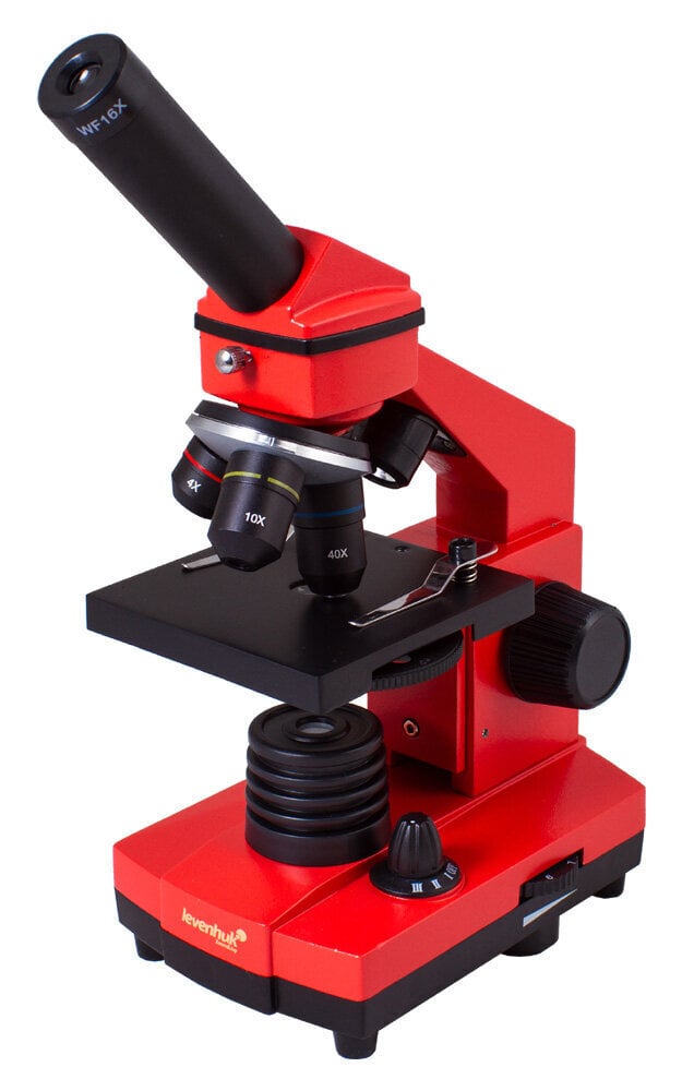 Levenhuk Rainbow 2L PLUS цена и информация | Teleskopi un mikroskopi | 220.lv