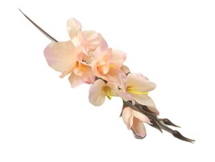 Искусственный цветок гладиолус цена и информация | Искусственный букет DKD Home Decor, 2 шт | 220.lv