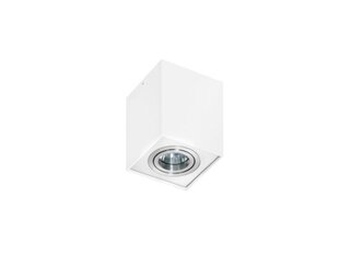 Azzardo потолочный светильник Eloy 1 White цена и информация | Потолочные светильники | 220.lv
