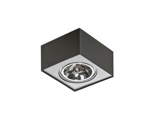 Azzardo griestu lampa Paulo 1 Black/Silver цена и информация | Потолочные светильники | 220.lv