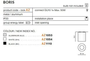 Azzardo потолочный светильник Boris White цена и информация | Потолочные светильники | 220.lv