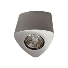 Azzardo потолочный светильник Dario Silver цена и информация | Потолочные светильники | 220.lv