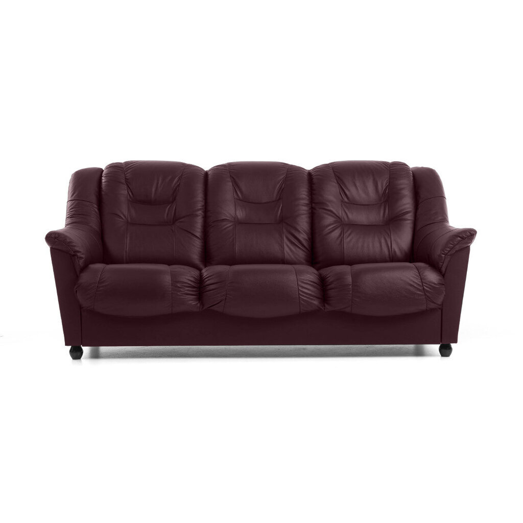 Dīvāns Mann, 3 vietīgs, pārklāts ar ādu, Diivan Mann, 3-kohaline, kaetud nahaga - antiikne punane 1589, musta värvi jalad cena un informācija | Dīvāni | 220.lv