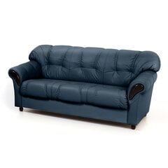 Dīvāns Rosa, 3 vietīgs, pārklāts ar audumu, Diivan Rosa, 3-kohaline, kaetud kangaga - Monolith 77, musta värvi jalad cena un informācija | Dīvāni | 220.lv