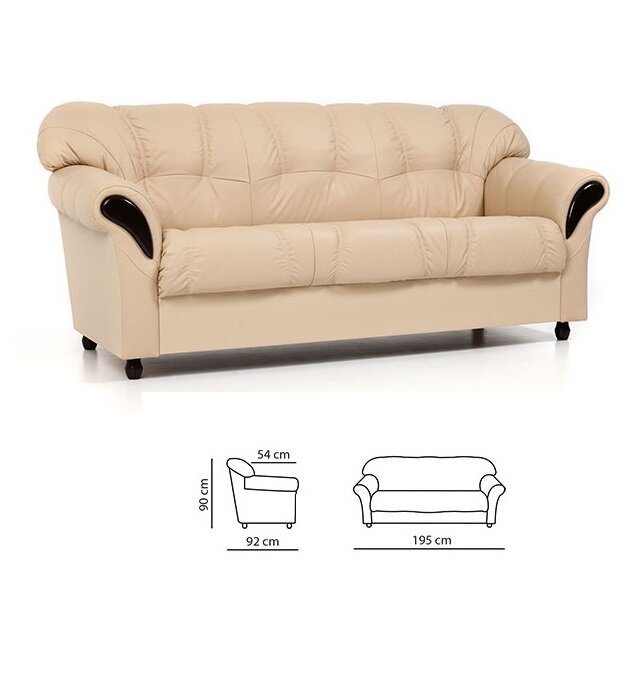 Dīvāns Rosa, 3 vietīgs, pārklāts ar ādu, Diivan Rosa, 3-kohaline, kaetud nahaga - pruun 8040, musta värvi jalad cena un informācija | Dīvāni | 220.lv