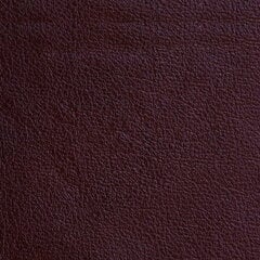 Dīvāns Rosa, 3 vietīgs, pārklāts ar ādu, Diivan Rosa, 3-kohaline, kaetud nahaga - antiikne punane 1589, musta värvi jalad cena un informācija | Dīvāni | 220.lv