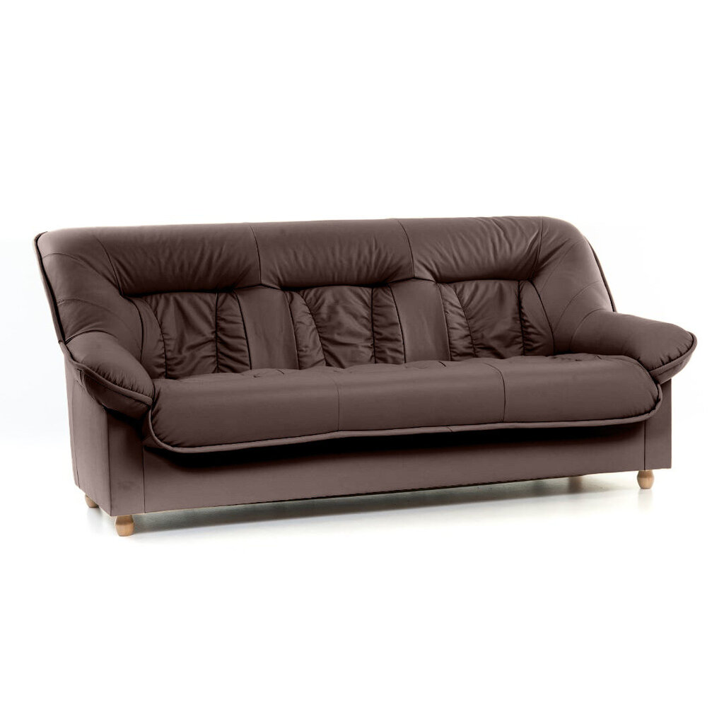 Dīvāns Spencer, 3-vietīgs, klāts ar ādu, bērza kājas, Diivan Spencer, 3-kohaline, kaetud nahaga - pruun 8040, jalad - kask cena un informācija | Dīvāni | 220.lv